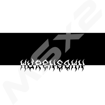 H-Sohn Frontbanner - MSx2 Autopflege Shop in der Schweiz